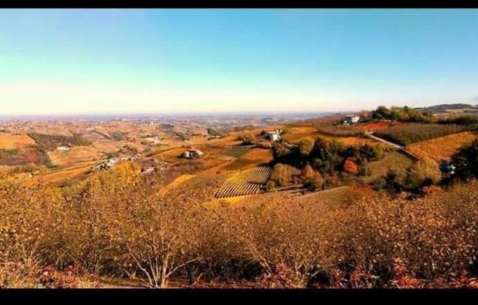 Maison Younesco - Villa Indipendente Exclusive Castagnole delle Lanze Екстер'єр фото